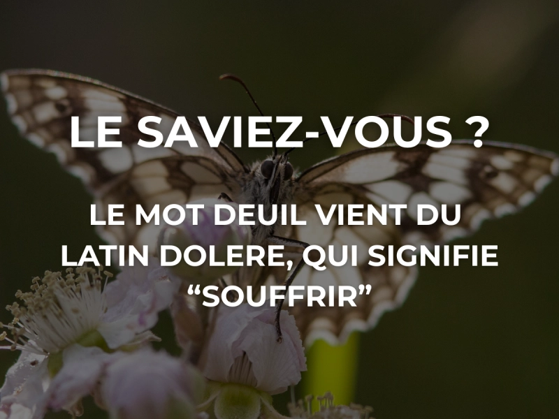 Le saviez-vous ? 