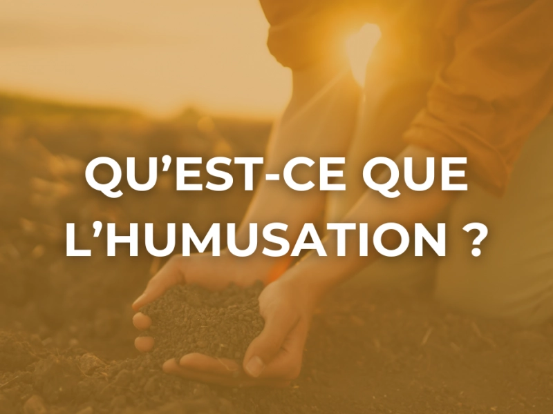 Qu'est-ce que l'humusation ?